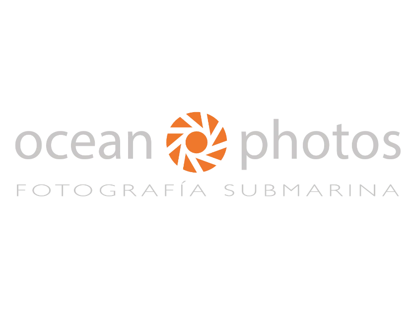 Ocean Photos